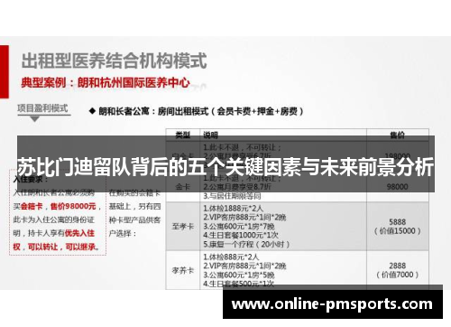 苏比门迪留队背后的五个关键因素与未来前景分析