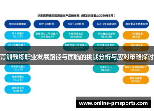 青训教练职业发展路径与面临的挑战分析与应对策略探讨